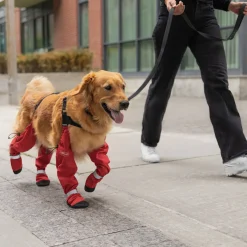 Suspender Boots for Dogs