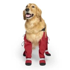 Suspender Boots for Dogs