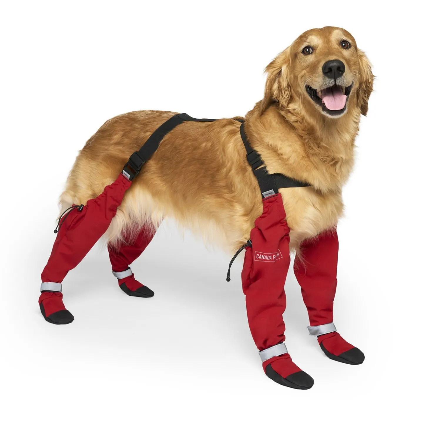 Suspender Boots for Dogs