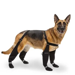 Suspender Boots for Dogs