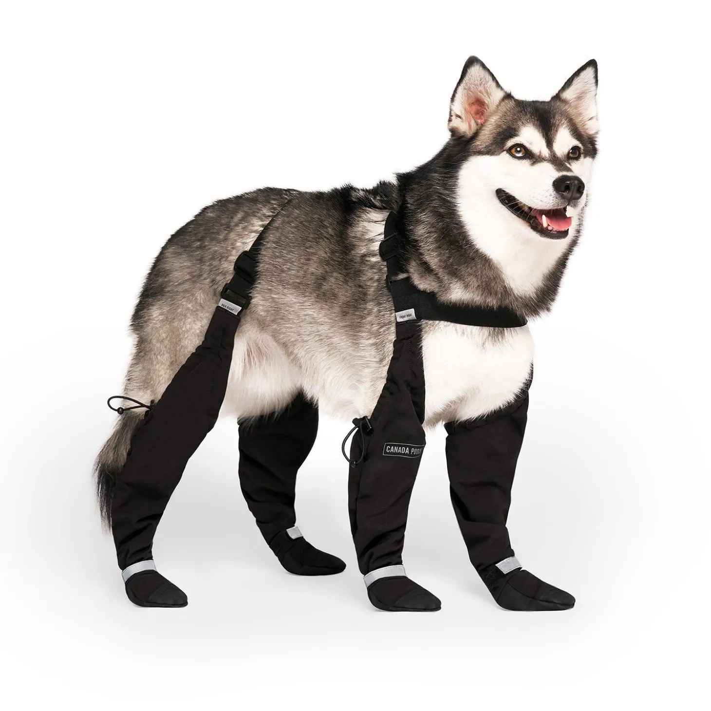 Suspender Boots for Dogs