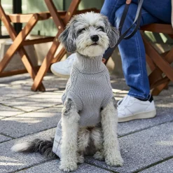Sweater-dress for Small Dogs