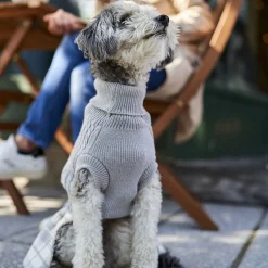Sweater-dress for Small Dogs