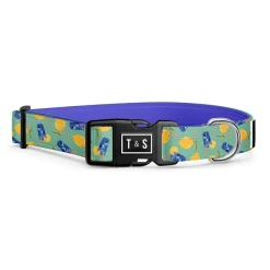 Sweet Lemonade Adjustable Dog Collar