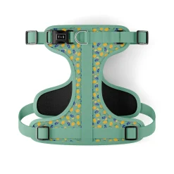 Sweet Lemonade Dog Harness