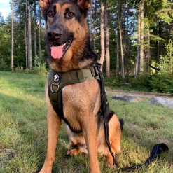 Tactical Dog Harness, Small