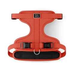 Tango Dog Harness