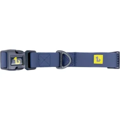 Teal Silicone Dog Collar