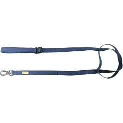 Teal Silicone Dog Leash