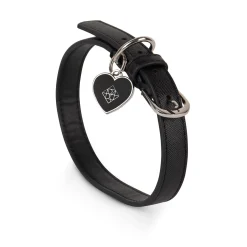 The CLEO Trio of Black Vegan Leather Dog Accessories