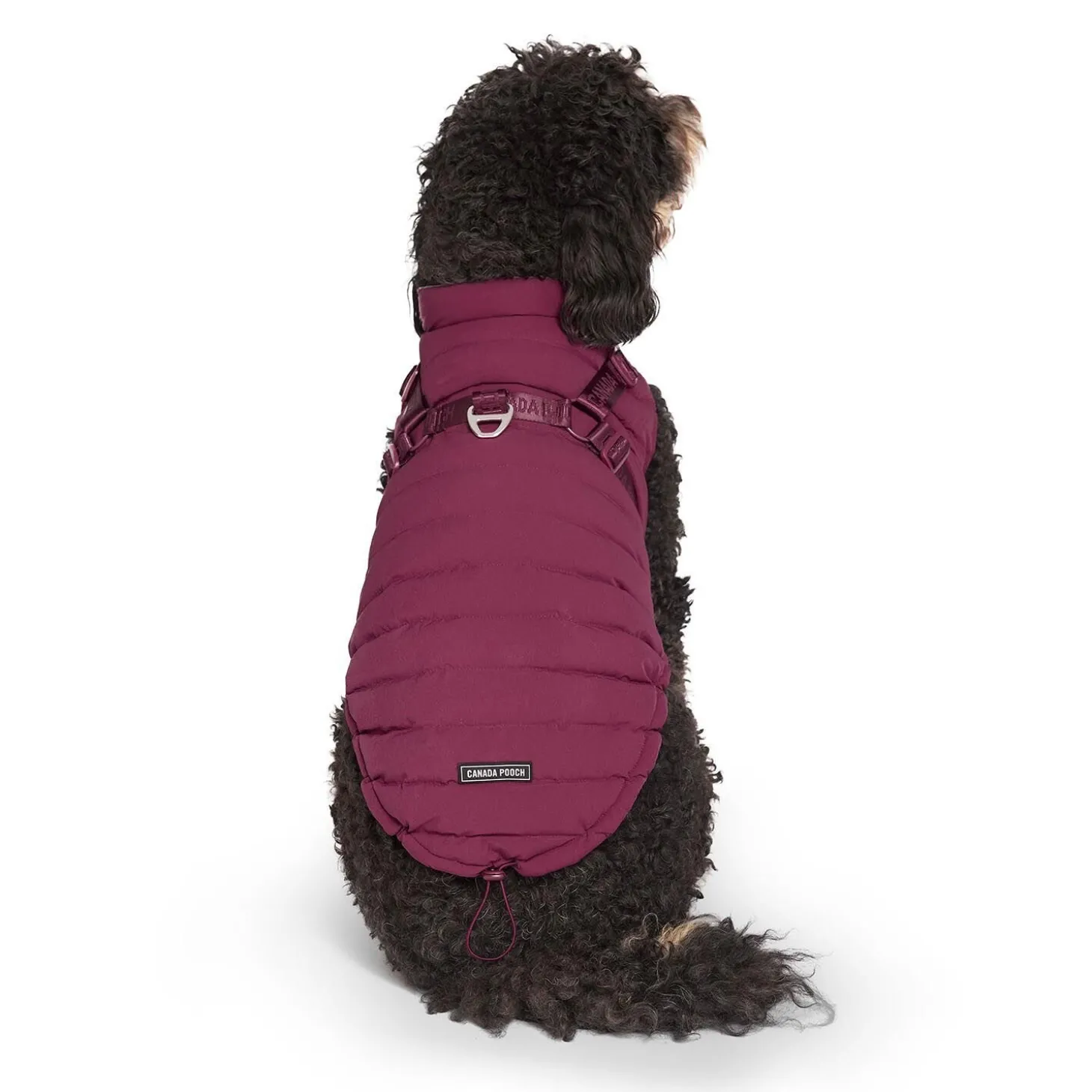 The Harness Puffer