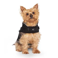 The Harness Puffer