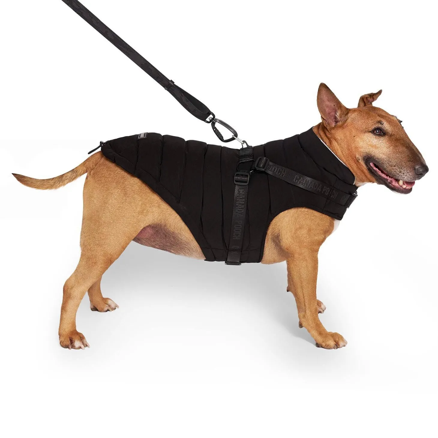 The Harness Puffer
