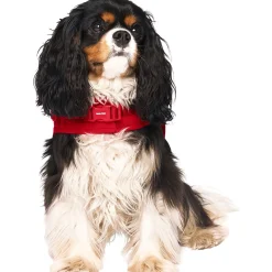 The Harness Puffer for Dogs