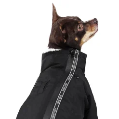 The Slush Suit for Dogs