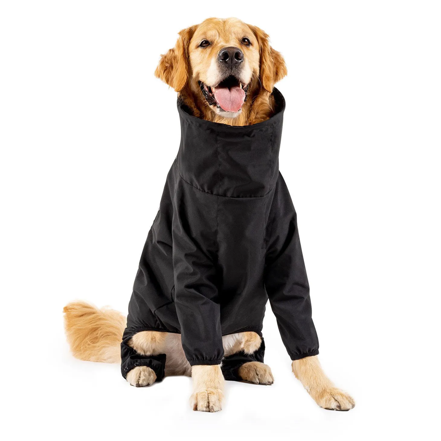 The Slush Suit for Dogs