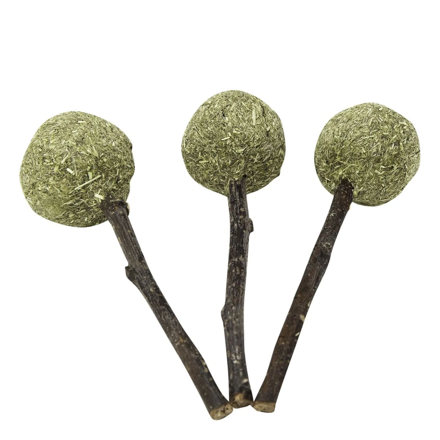 Timmy Pops for Rodents