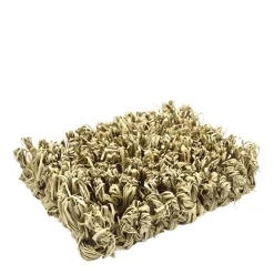 Timothy club hide & seek mat