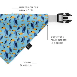 Toco the Toucan Dog Scarf