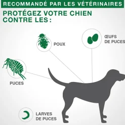 Topical Flea and Lice Protection for Dog from 4.6 to 11kg, 6 pack