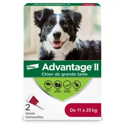 Topical Flea and Lice Protection for Dog -11-25kg, 2 pack