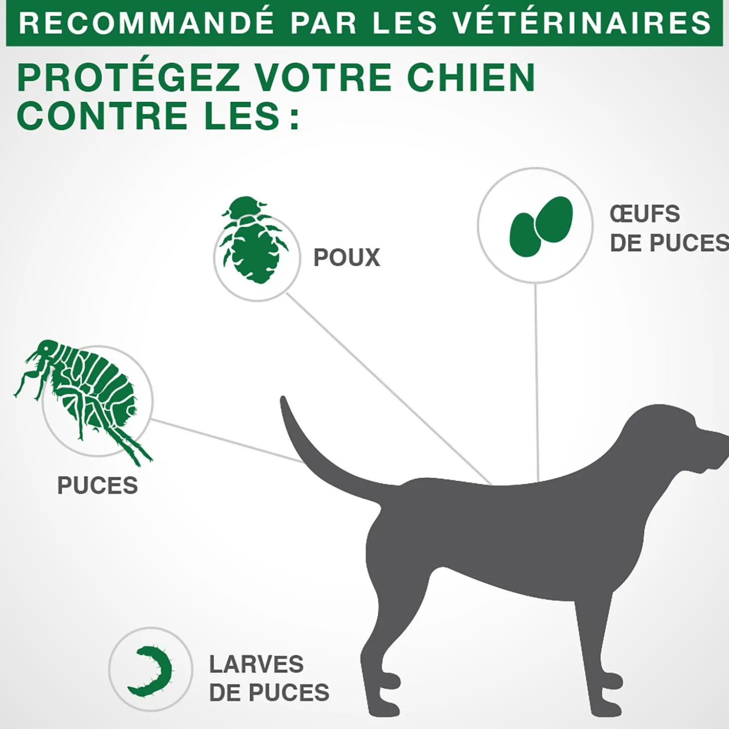Topical Flea and Lice Protection for Dog 4.6 to 11 kg, 4 pack