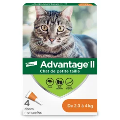 Topical Flea Protection for Cats 2.3 to 4 kg, 4 pack