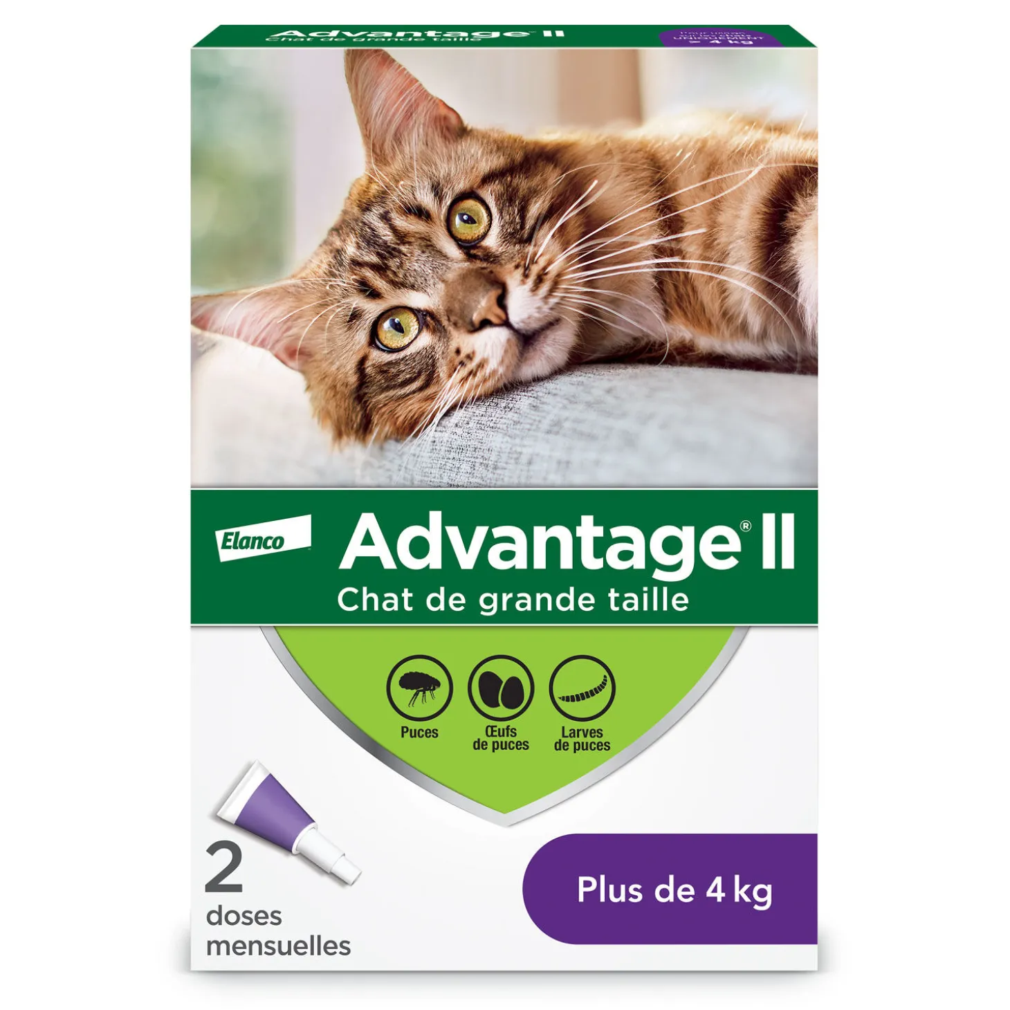 Topical flea protection for cat 4+ kg, 2 pack
