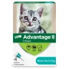 Topical Flea Protection for Kitten, 4 pack