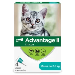Topical Flea Protection for Kitten, 4 pack