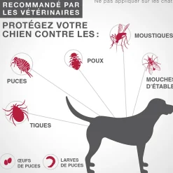Topical Flea Tick and Mosquito Protection for Dogs 4.6 to 11 kg, 4 pack