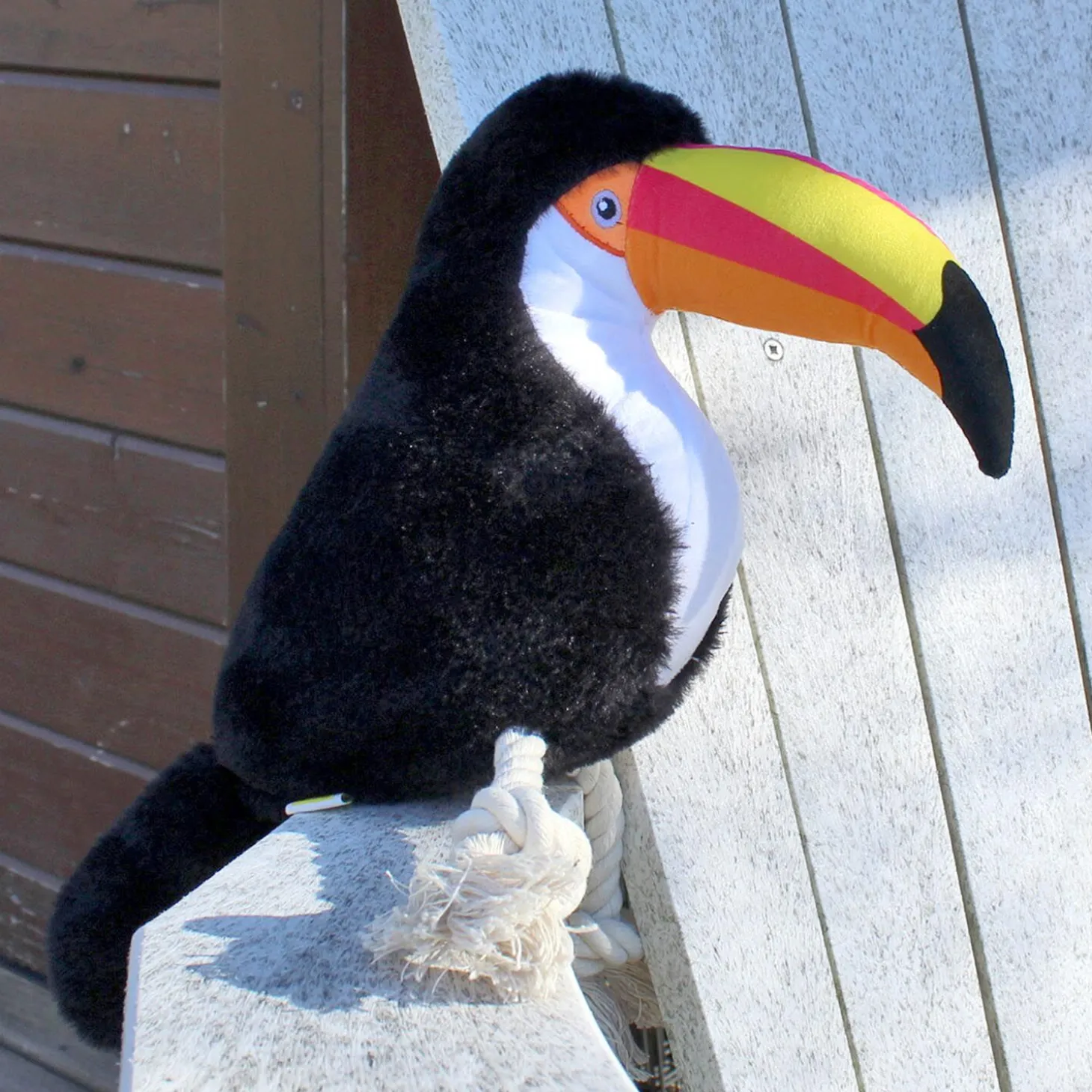 Toucan Dog Toy