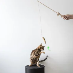 Toy Fishing Rod for Cats