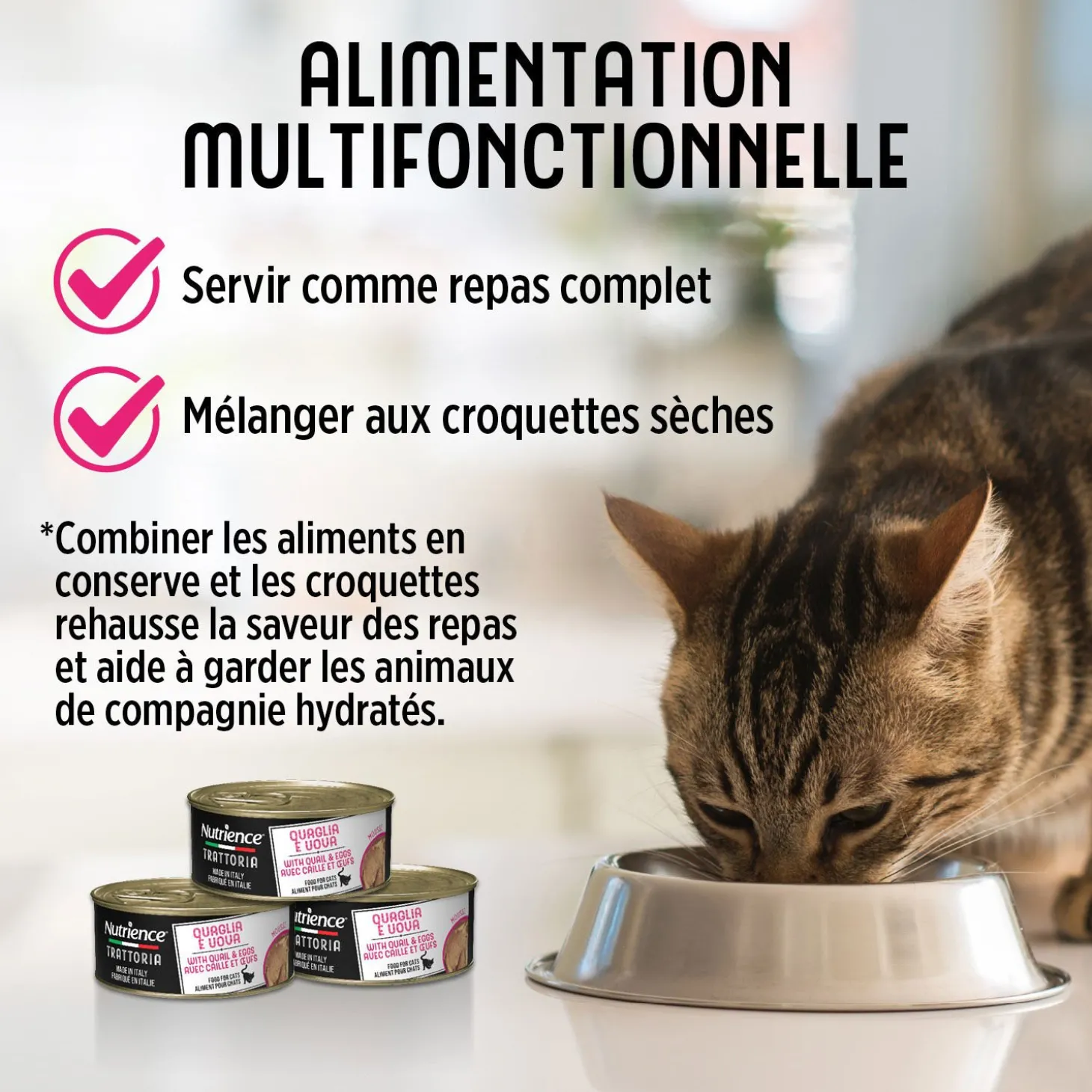 Trattoria Wet Food with Quail & Eggs for Cats, 85 g