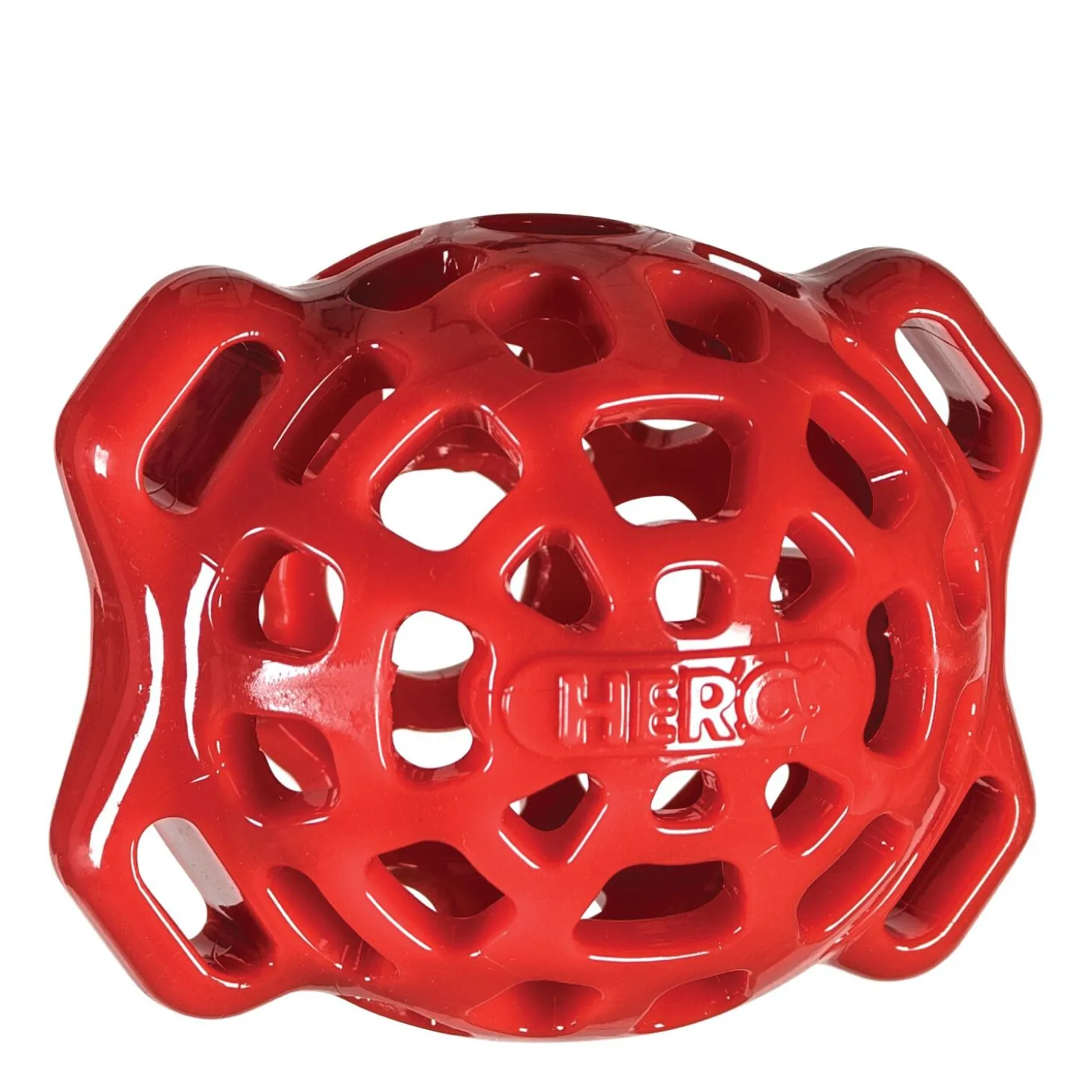 Treat N Play Holi ball for dogs