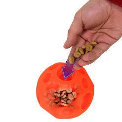 Treats-dispensing ball