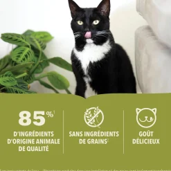 Tuna in Bone Broth Recipe Wet Cat Food, 85 g
