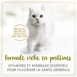 Turkey and giblets wet food for adult cats
