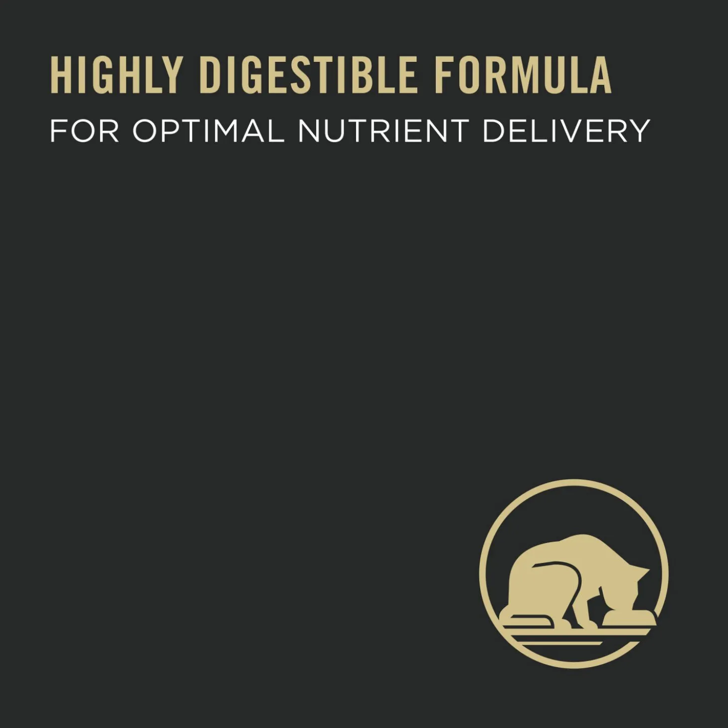 Urinary Tract Health Chicken Entrée in Gravy for Cats, 156 g