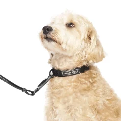 Utility Collar for Dogs