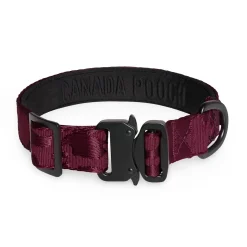 Utility Collar for Dogs