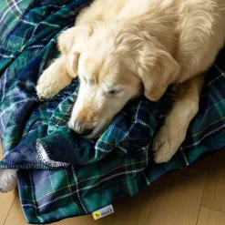 Varsity Plaid Cloud Pillow Cover