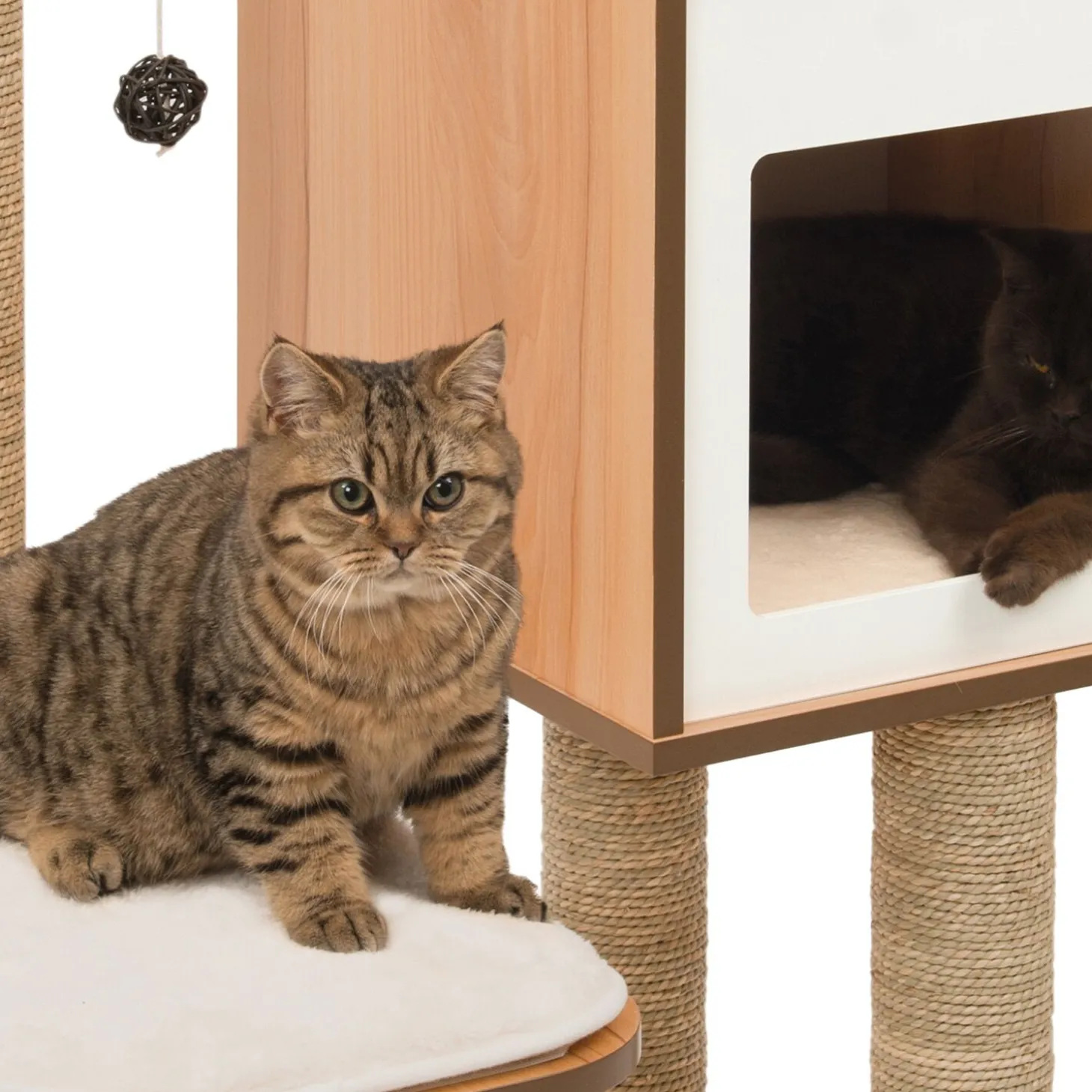 V-High Base walnut colored wood cat tree