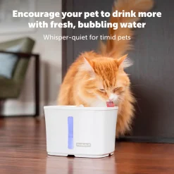 Viva™ Water Fountain, 1.8 L