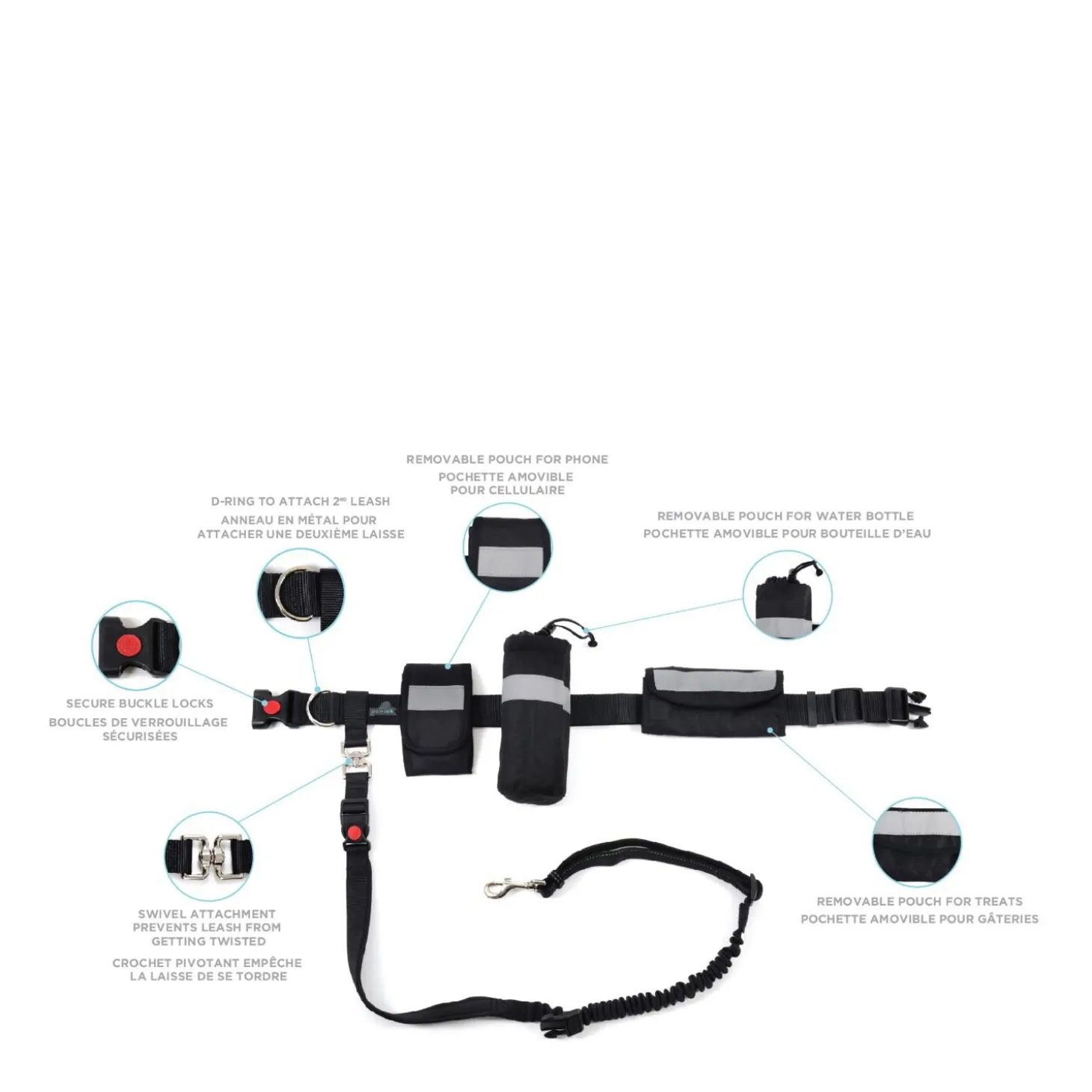 Waistbelt and Bungee leash
