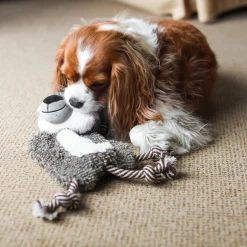 Walter the wolf dog toy
