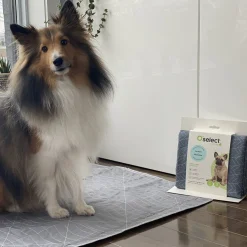 Washable training pad, lines