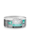 Wet food for indoor cats