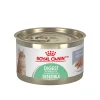 Wet food healthy digestion for cats 1 -7 years