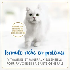 White fish and tuna wet food for adult cats